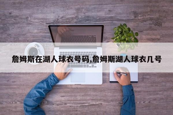 詹姆斯在湖人球衣号码,詹姆斯湖人球衣几号