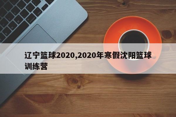 辽宁篮球2020,2020年寒假沈阳篮球训练营