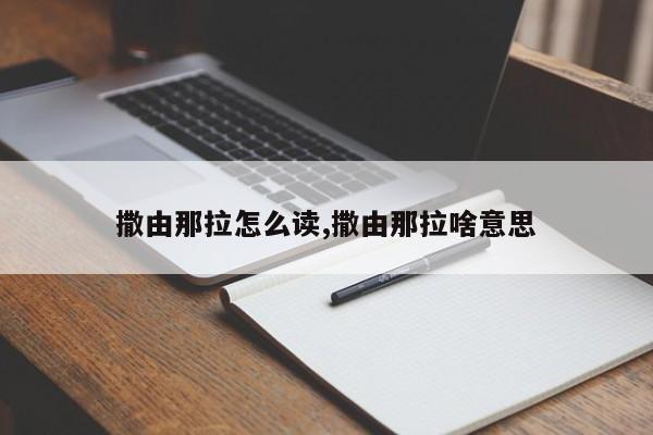 撒由那拉怎么读,撒由那拉啥意思