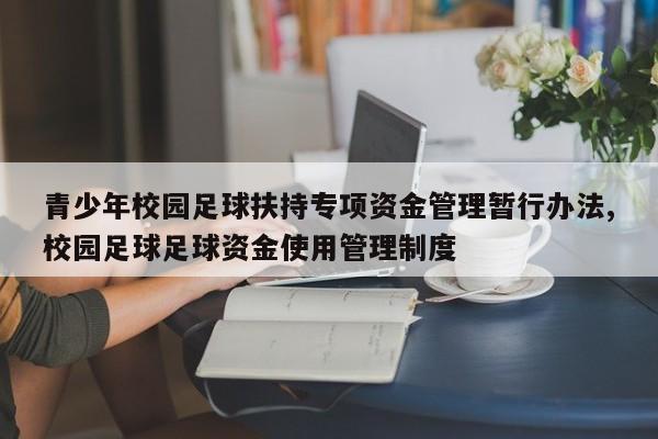 青少年校园足球扶持专项资金管理暂行办法,校园足球足球资金使用管理制度