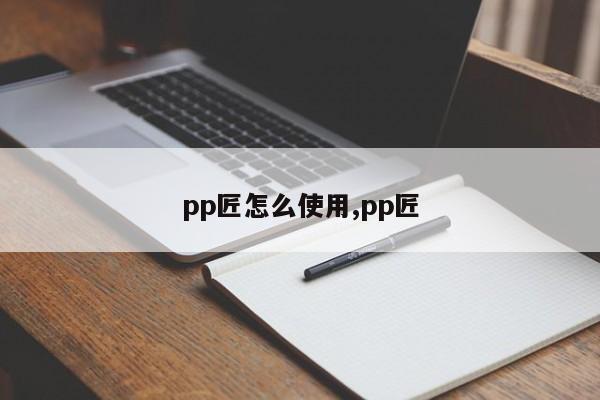 pp匠怎么使用,pp匠