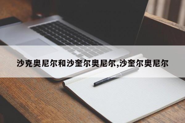 沙克奥尼尔和沙奎尔奥尼尔,沙奎尔奥尼尔