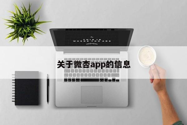 关于微杏app的信息