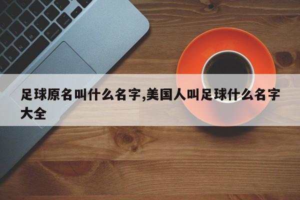 足球原名叫什么名字,美国人叫足球什么名字大全