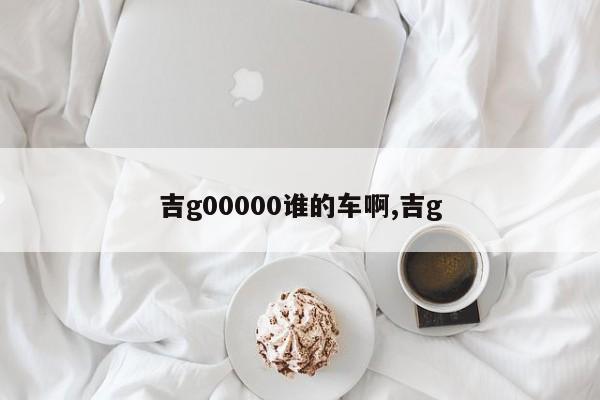 吉g00000谁的车啊,吉g