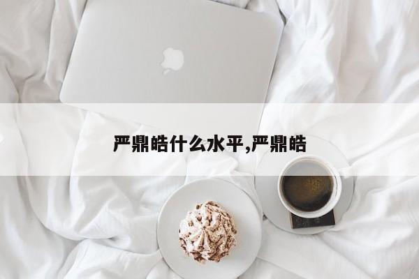 严鼎皓什么水平,严鼎皓