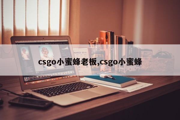 csgo小蜜蜂老板,csgo小蜜蜂