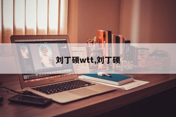 刘丁硕wtt,刘丁硕