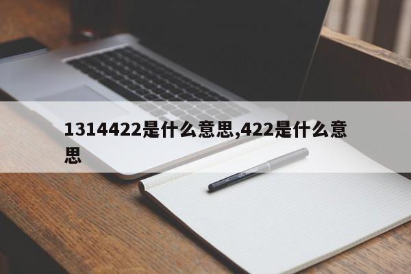 1314422是什么意思,422是什么意思