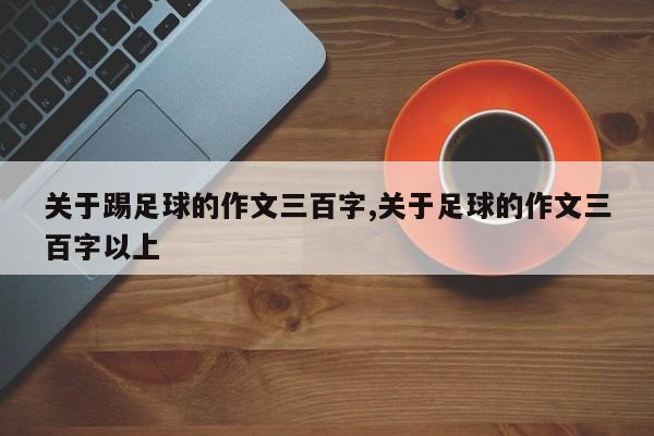 关于踢足球的作文三百字,关于足球的作文三百字以上