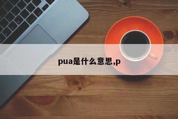 pua是什么意思,p