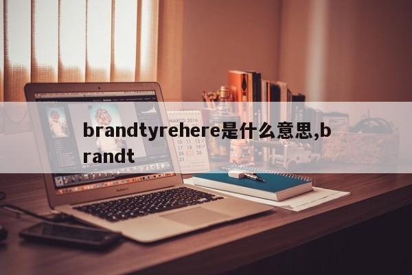 brandtyrehere是什么意思,brandt