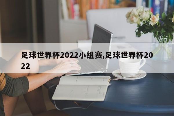 足球世界杯2022小组赛,足球世界杯2022