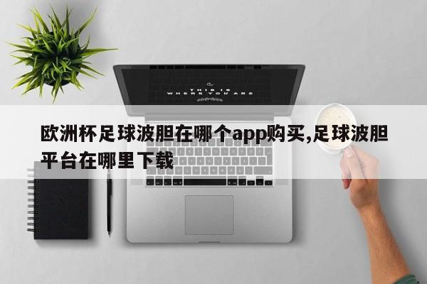 欧洲杯足球波胆在哪个app购买,足球波胆平台在哪里下载