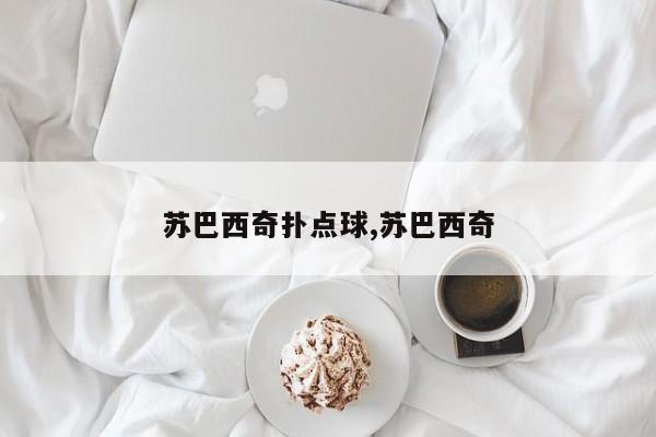 苏巴西奇扑点球,苏巴西奇