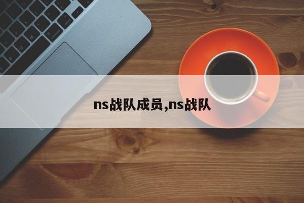 ns战队成员,ns战队