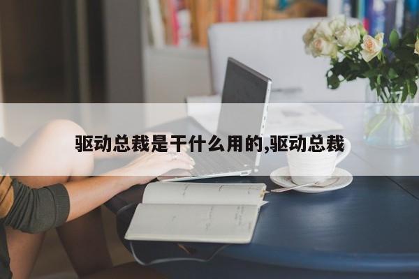 驱动总裁是干什么用的,驱动总裁