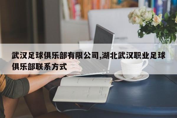 武汉足球俱乐部有限公司,湖北武汉职业足球俱乐部联系方式