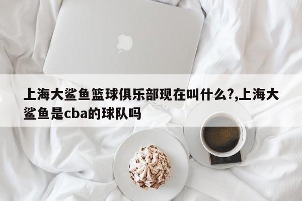 上海大鲨鱼篮球俱乐部现在叫什么?,上海大鲨鱼是cba的球队吗